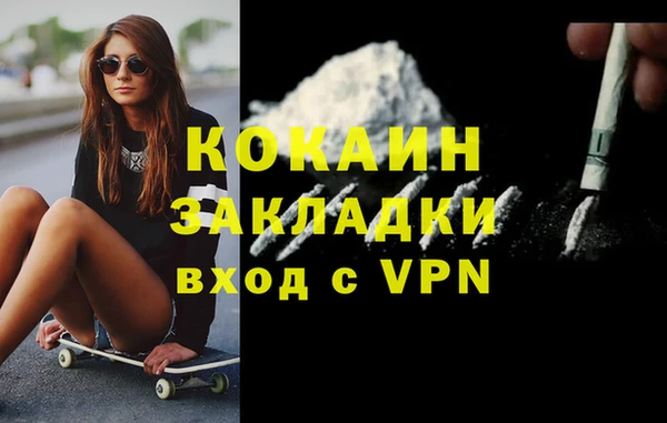 стафф Алексин