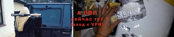 стафф Алексин