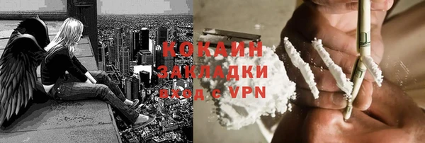 стафф Алексин