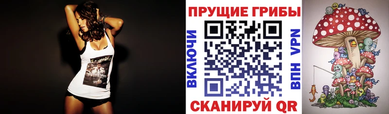 Псилоцибиновые грибы Psilocybe  Шелехов 